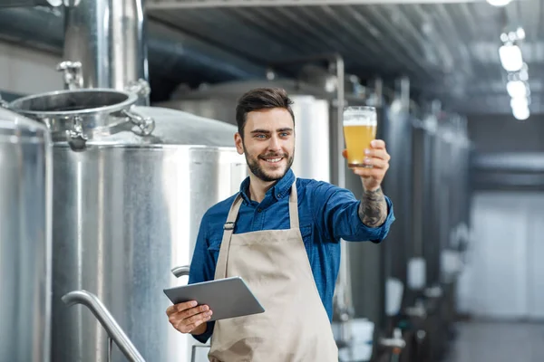 Controle de qualidade da bebida alcoólica na produção e no trabalho na cervejaria que inspeciona a qualidade da produção na fábrica — Fotografia de Stock