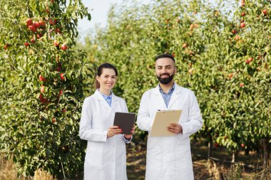 İki uzman meyve çiftliğinde çalışıyor ve veri topluyor.