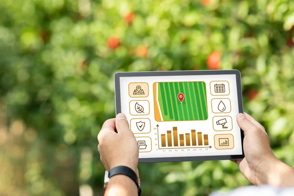 Cultivado de agricultor em pé no jardim e usando tablet digital — Fotografia de Stock