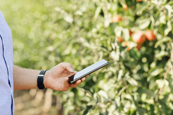 Gadget moderno para el trabajo en granja inteligente ecológica y gestión de empresas — Foto de Stock