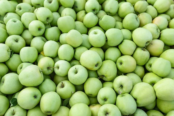 Textura natural, fondo o fondo de pantalla. Gran cosecha de temporada, manzanas para la producción y la industria — Foto de Stock