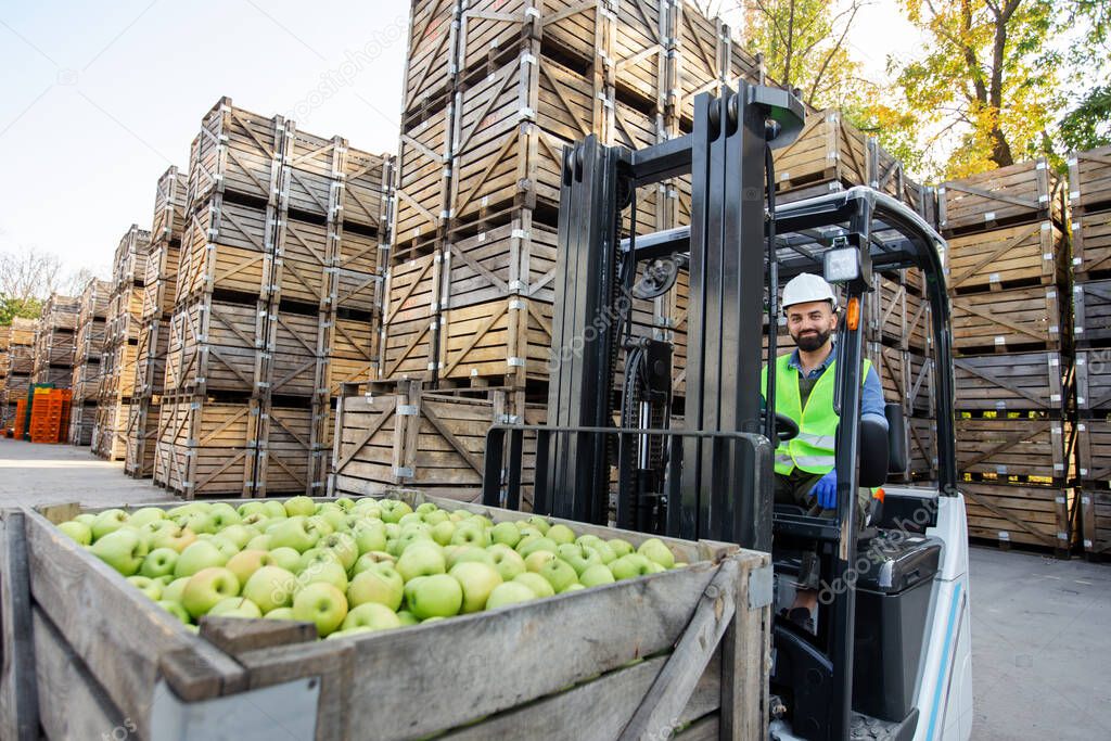 Loading apples with forklift, transport of goods to industrial production juice