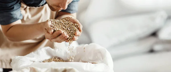 Bira ve taze tahıl aroması hazırlayın. — Stok fotoğraf