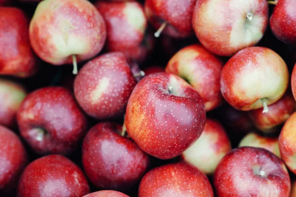 Excelente cosecha de jugosas frutas ecológicas frescas, agricultura ecológica. Comercio, negocios exitosos — Foto de Stock