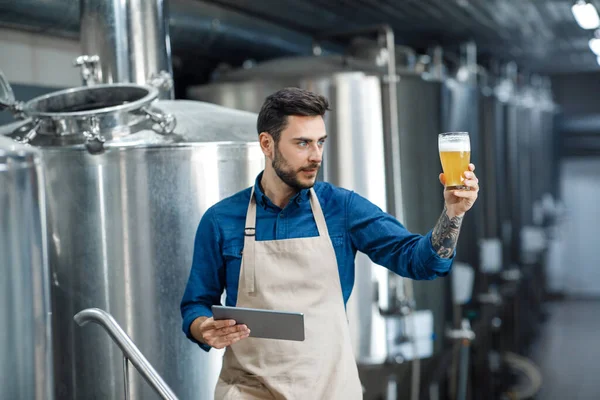 Trabajador cervecero mira cerveza recién hecha en vidrio — Foto de Stock