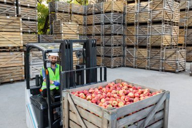 Forklift meyve kasaları, sürücü işleri, olgun, kırmızı, taze, lezzetli elmaları kabın içinde taşır.