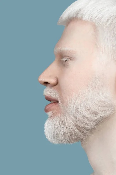 Closeup profile portrait of albino man with white hair, beard, eyelashes and brows, turquoise background, side view — 스톡 사진