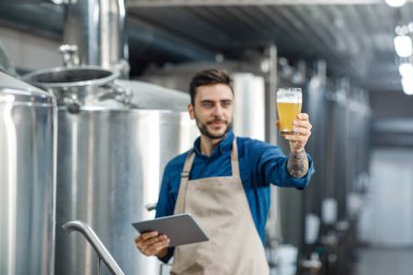 Male inspector working in distillery checks beer with app and gadget