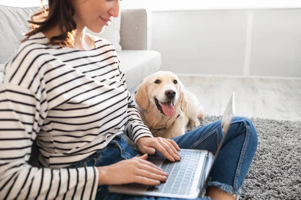 Ung kvinna hemma med laptop och labrador — Stockfoto