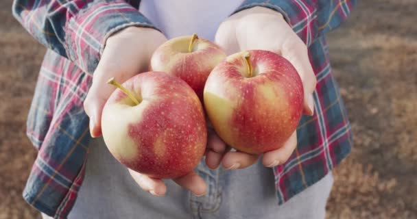 有机水果和农业。用新鲜收获的苹果把农民们的手拉近，在花园前拍照 — 图库视频影像
