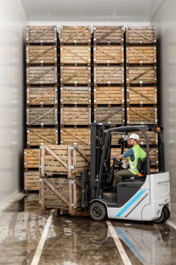 Modern depo, forklift, sanayi ve organik tarım işlerinde çalışmak.