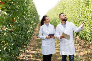 Profesyonel tarım uzmanları meyve bahçesinde çalışır, hasatı kontrol eder ve meyve yetiştirir.