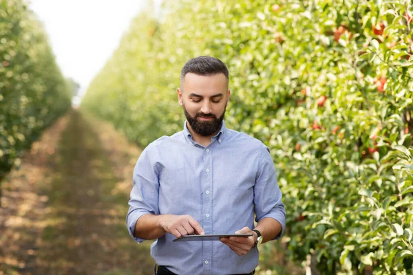 El hombre de negocios moderno y el dispositivo inteligente trabajan en la granja de frutas en verano. Temporada de cosecha — Foto de Stock