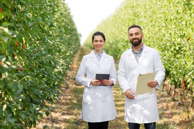 Tarım uzmanları yaz mevsiminde meyve bahçesini ve organik ekinleri kontrol ederler.