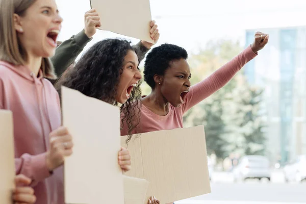 Side view of multiracial ladies with empty placards chanting slogans — Stock fotografie