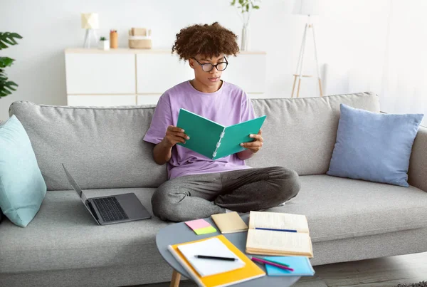 专注的黑人青少年阅读笔记本，坐在沙发上，带着笔记本电脑和学习材料，从家里远程学习 — 图库照片