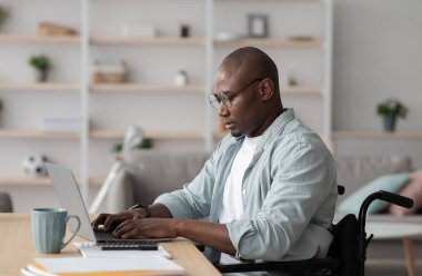 Yaratıcı ev işleri, internetten bilgi arama. Serbest Sörf Ağı