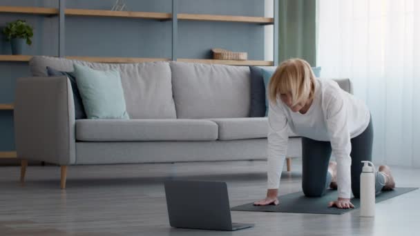 Lady Ćwiczenia na laptopie robi Cat-Cow Stretch Stojąc All-Fours Indoor — Wideo stockowe