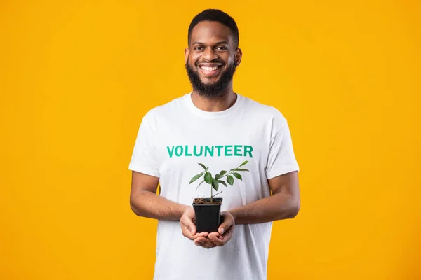 Schwarzer männlicher Freiwilliger hält Pflanze im Topf über gelbem Hintergrund — Stockfoto
