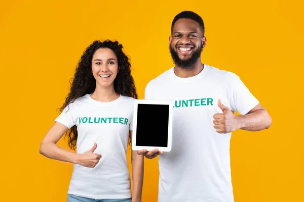 Волонтеры с пустым экраном, поднятыми вверх пальцами, желтый фон — стоковое фото