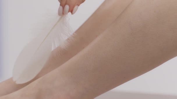 Remoção de cabelo e conceito depilação a laser. Jovem mulher acariciando suas pernas sedosas com pena macia, rastreamento tiro — Vídeo de Stock