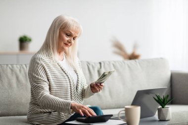 Dizüstü bilgisayarla çalışan, bütçeyi hesaplayan bir kadın.