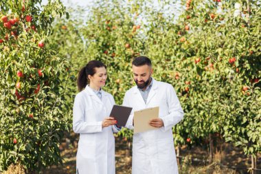 Meyve bahçesindeki ağaçları inceleyen tarımcı, tablet bilgisayar, tarım teknolojisi ve tarım tesisleri kullanıyor.