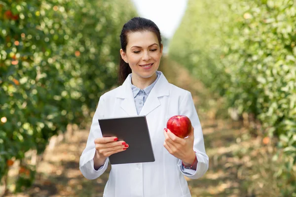 Agrónomo comprueba calidad de frutas ecológicas en huerto para la producción de jugo — Foto de Stock