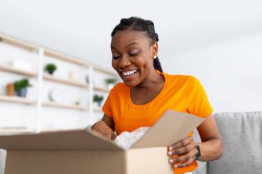 Paketi alan, karton paketleri açan, eve bakan, evdeki koltukta oturan meraklı siyahi kadının portresi.