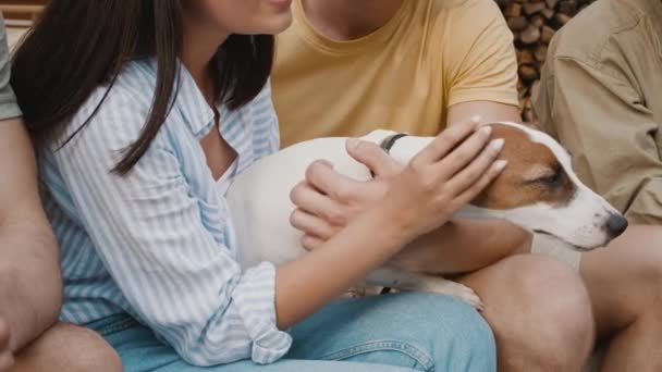 一群年轻的多种族朋友打击可爱杰克罗素Terrier狗户外 — 图库视频影像