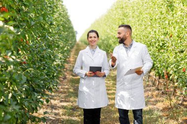 Yazın eko bahçesinde tarım uzmanı ve çiftçinin işi