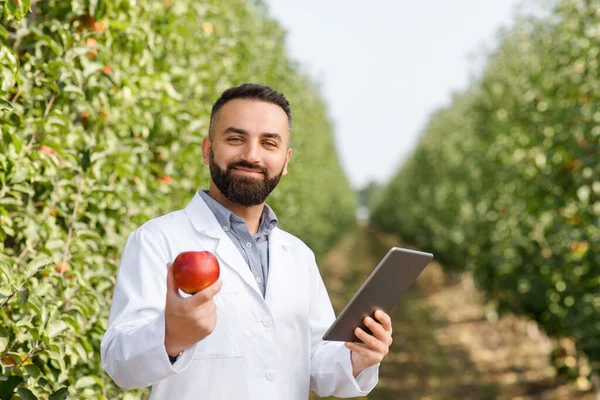 Digitale mobile Geräte für Arbeit auf dem Öko-Bauernhof, modernes Geschäft und hervorragende Ernte — Stockfoto