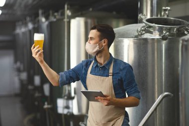 Taze içki, bira fabrikası işi, covid-19 salgınının kalite kontrolü.