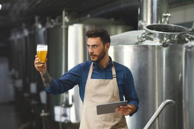 Yakışıklı bira çekleri fabrikada içki içer, bira fabrikasında uzmandır.