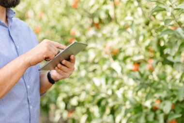 Çevrimiçi eko bahçesinde çalışmak için mobil uygulamalı modern teknoloji