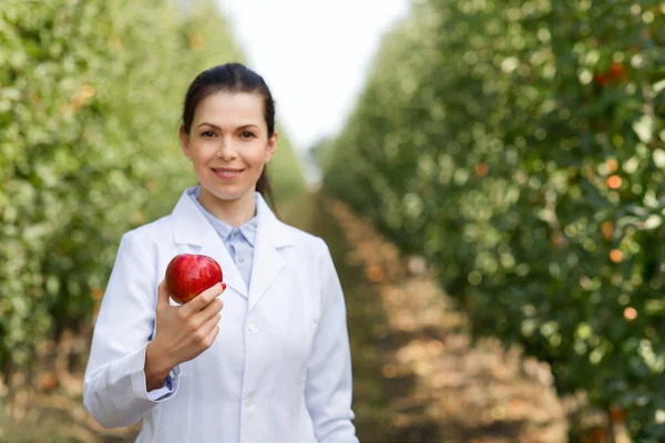 Eco-biologisch fruit in tuin of boerderij, gezonde voeding, kwaliteitscontrole en succesvolle biologische plantenhandel — Stockfoto