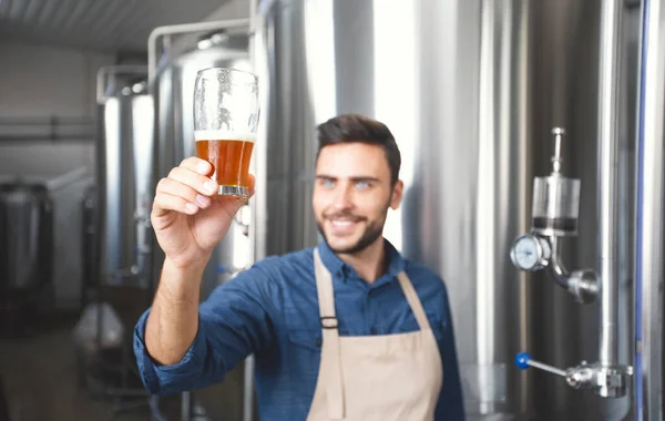 Cervejeiro bem sucedido verifica a qualidade da bebida artesanal, produção de cerveja e vendas na fábrica de álcool — Fotografia de Stock