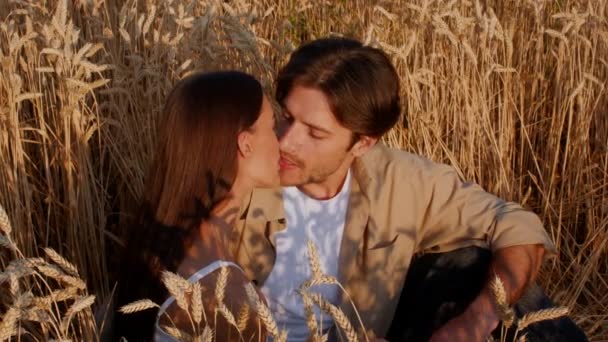 Loving Young para całowanie siedząc na polu pszenicy, powolny ruch wideo — Wideo stockowe