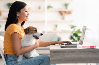 Güzel Asyalı kadın köpeğiyle evden çalışıyor.