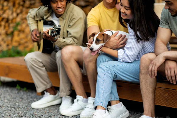 Grupo de diversos amigos jóvenes con perro mascota tocando música en la guitarra, pasar tiempo juntos acampar en el fin de semana de otoño — Foto de Stock