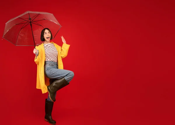 Höstens försäljningskoncept. Porträtt av förvånad dam står under paraply och tittar på fritt utrymme, röd bakgrund — Stockfoto