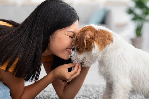 Feliz mujer asiática acariciando su lindo perro en casa — Foto de Stock