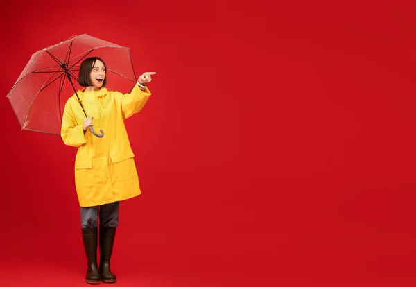 Wow autumn sales. Emotional lady in yellow raincoat holding umbrella and pointing at empty space on red background — Stock Photo, Image