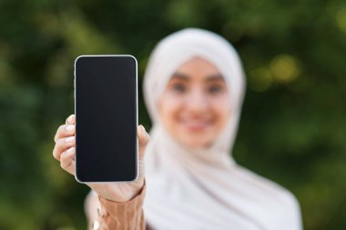 Harika bir teklif, reklam, yeni uygulama, alet web sitesi