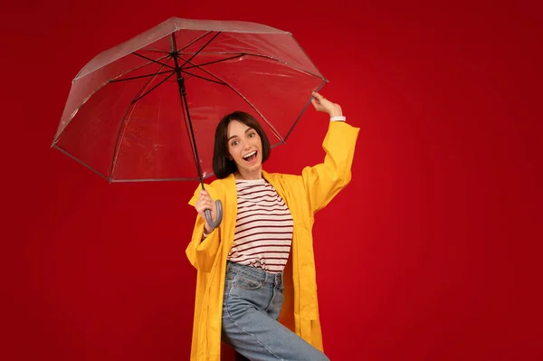 Jeune femme excitée profitant du temps pluvieux, debout sous un parapluie transparent et souriant sur fond rouge — Photo