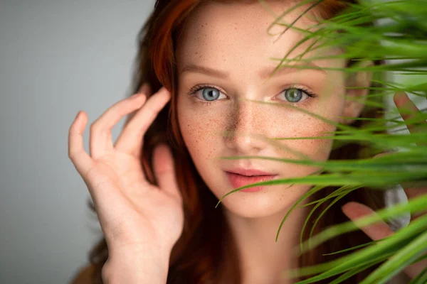 Mulher jovem de cabelo ruivo tocando cabelo vermelho posando com planta, estúdio — Fotografia de Stock