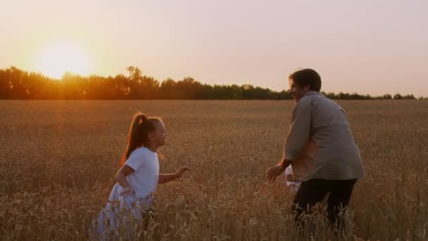 Jovens pais felizes e filha correndo juntos ao ar livre no campo de trigo — Vídeo de Stock