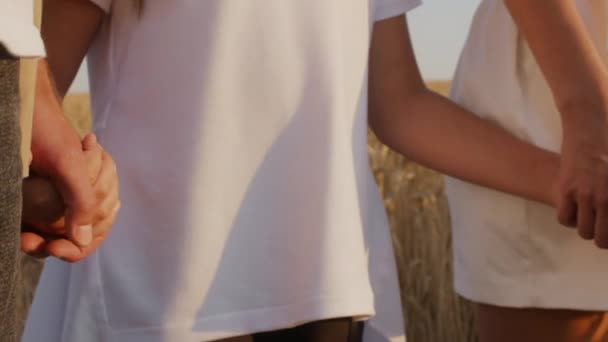 Petite fille tenant la main avec les parents tout en se tenant dans le champ de blé ensemble — Video
