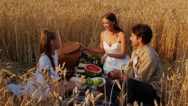 Glückliche junge dreiköpfige Familie beim gemeinsamen Picknick im Weizenfeld. — Stockvideo