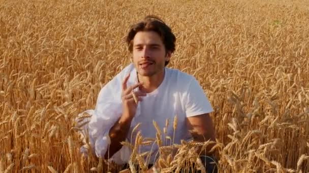 Красивий молодий чоловік сидить у пшеничному полі, розслабляючись на природі — стокове відео